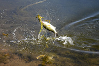 DSC_1565_edited