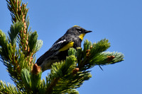 DSC_0155_edited