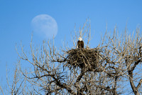 DSC_8534_edited