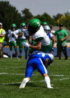 DSC_9053_edited - Gauge Lewis