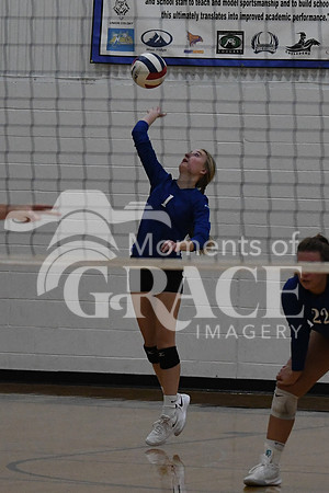DSC_0197_edited