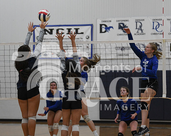 DSC_0181_edited