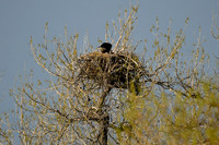 DSC_5842_edited