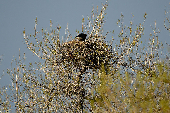 DSC_5842_edited