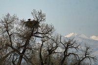 DSC_4614_edited