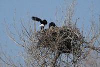DSC_3575_edited