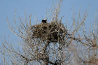 DSC_3557_edited