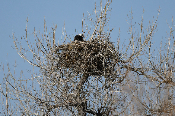 DSC_3557_edited