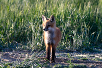 DSC_5195_edited
