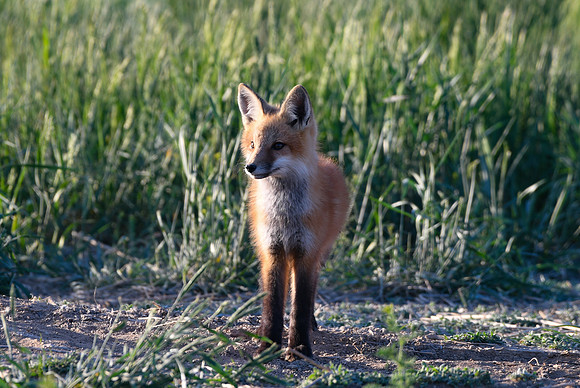 DSC_5195_edited