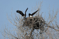 DSC_3570_edited
