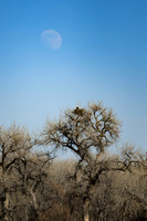 DSC_8260_edited