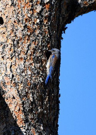 DSC_2377_edited