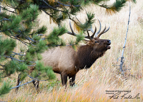 DSC_2142_edited