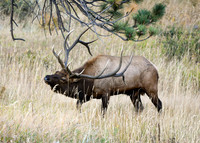 DSC_1927_edited