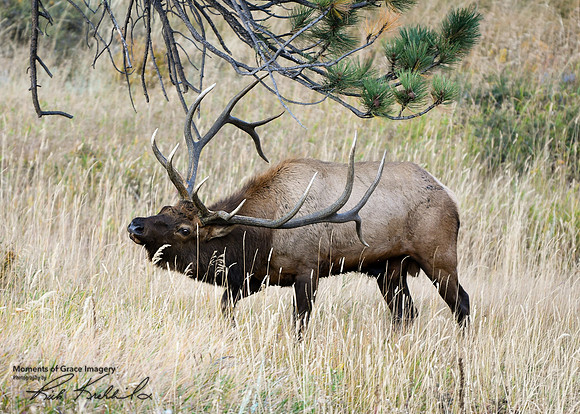 DSC_1927_edited