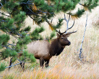DSC_2140_edited