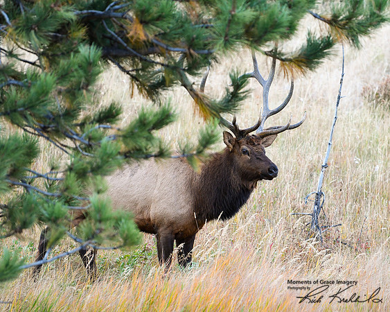 DSC_2140_edited