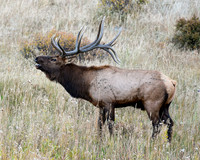 DSC_2129_edited