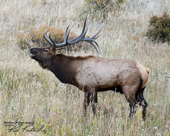 DSC_2129_edited