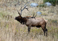 DSC_2040_edited