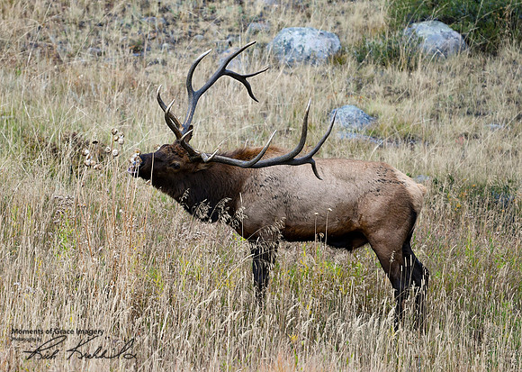 DSC_2040_edited