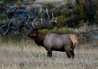 DSC_4986_edited