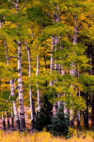 DSC_4019_edited - 2022