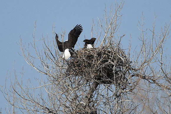 DSC_3569_edited