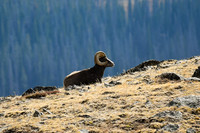 DSC_4210_edited