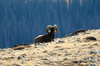 DSC_4217_edited