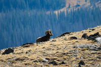 DSC_4190_edited