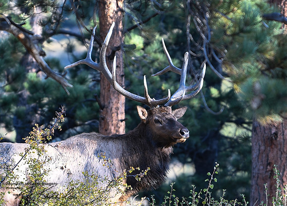 DSC_0495_edited