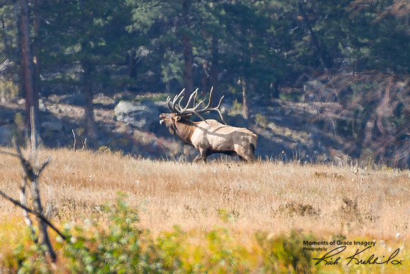 DSC_3923_edited - Kahuna 9/25/2020