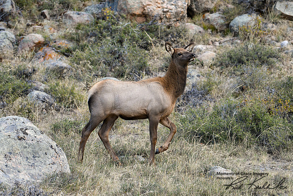 DSC_3769_edited
