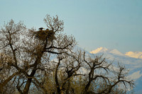DSC_4619_edited