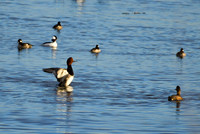 DSC_2071_edited-1