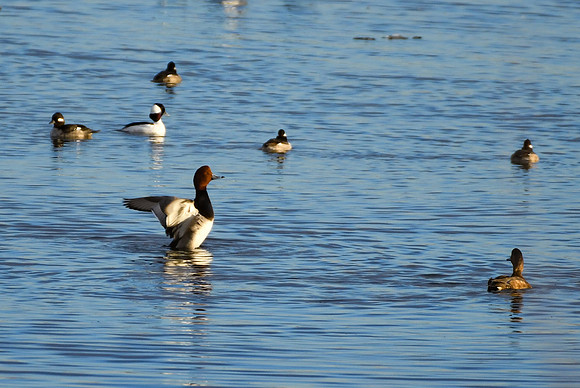 DSC_2071_edited-1