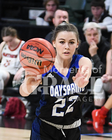 DSC_8944_edited-1
