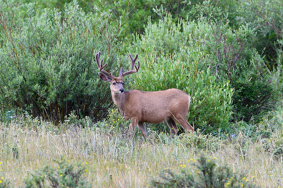 DSC_4307_edited