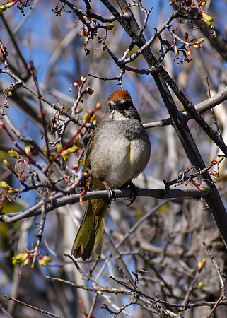 DSC_0009_edited
