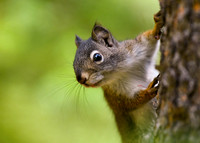 DSC_3716_edited~2