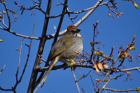 DSC_0042_edited