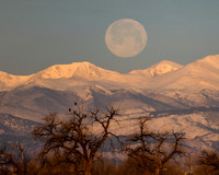 2022-03-18 - Moonset and Eagles