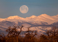 Add Watermark_2022_04_07_10_18_10 - white_edited