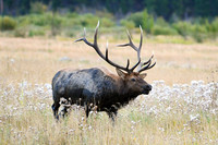 DSC_9830_edited