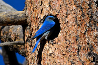 DSC_0142_edited