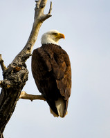 DSC_4538_edited