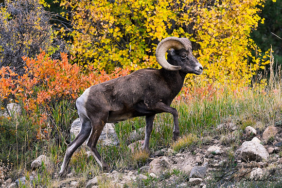 DSC_3780_edited_edited - 2022