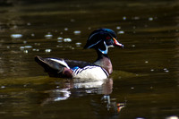 DSC_0082_edited